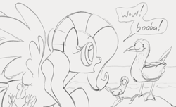 Size: 1166x707 | Tagged: safe, artist:dotkwa, imported from derpibooru, fluttershy, bird, pegasus, pony, booby, dialogue, double entendre, female, gray background, grayscale, mare, monochrome, simple background, sketch, spread wings, wings