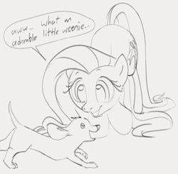 Size: 1003x981 | Tagged: safe, artist:dotkwa, imported from derpibooru, fluttershy, dog, pegasus, pony, butt, cute, dachshund, dialogue, double entendre, female, gray background, grayscale, mare, monochrome, open mouth, open smile, phrasing, plot, shyabetes, simple background, sketch, smiling, solo, speech bubble