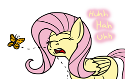 Size: 12000x7648 | Tagged: safe, artist:graymist, imported from derpibooru, fluttershy, butterfly, pony, colored, cute, eyelashes, eyes closed, female, innocent, mare, missing cutie mark, nostril flare, nostrils, open mouth, pre sneeze, simple background, sneezing, transparent background