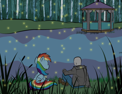 Size: 3300x2550 | Tagged: safe, artist:vareb, imported from derpibooru, rainbow dash, oc, oc:anon, firefly (insect), human, insect, pegasus, pony, cute, date, date night, forest, gazebo, grass, lake, night, peaceful, pretty, water