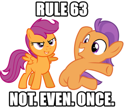 Size: 1481x1275 | Tagged: safe, imported from derpibooru, scootaloo, tender taps, earth pony, pegasus, pony, on your marks, caption, image macro, impact font, meme, not even once, rule 63, simple background, text, white background