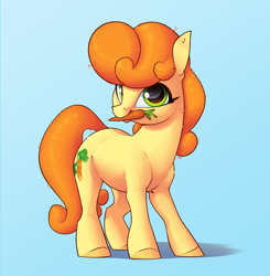 Size: 2300x2345 | Tagged: safe, artist:aquaticvibes, imported from derpibooru, carrot top, golden harvest, earth pony, pony, blue background, carrot, cute, cutie top, female, food, looking at you, mare, mouth hold, simple background, solo