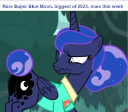 Size: 888x775 | Tagged: safe, edit, edited screencap, imported from derpibooru, screencap, princess luna, alicorn, pony, between dark and dawn, blue moon, butt, cropped, cute, english, female, frown, looking back, lunabetes, mare, moon, moonbutt, one eye closed, plot, super moon, tail, tail bun, text, wavy mouth