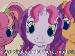 Size: 786x588 | Tagged: safe, imported from derpibooru, screencap, cheerilee (g3), scootaloo (g3), sweetie belle (g3), earth pony, pony, unicorn, twinkle wish adventure, caption, cute, dissonant caption, female, filly, flower, flower in hair, foal, g3, g3.5, i see what you did there, image macro, looking at you, text, trio, vulgar