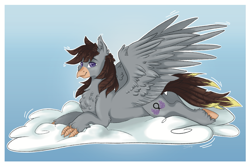 Size: 3447x2308 | Tagged: safe, artist:themstap, imported from derpibooru, oc, oc:luxor, classical hippogriff, hippogriff, chest fluff, cloud, looking at you, lying, simple background, smiling, solo, spread wings, wings