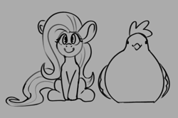 Size: 1026x683 | Tagged: safe, artist:aliceg, imported from derpibooru, fluttershy, bird, chicken, pegasus, pony, female, gray background, grayscale, looking at you, mare, monochrome, pun, simple background, sitting, smiling, smiling at you, visual pun