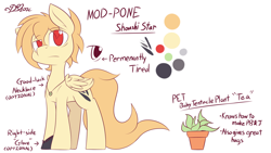 Size: 1920x1080 | Tagged: safe, artist:dshou, imported from derpibooru, oc, oc only, oc:shoushi star, pegasus, pony, bags under eyes, jewelry, male, necklace, plant, red eyes, reference sheet, simple background, solo, stallion, white background