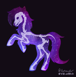 Size: 2585x2623 | Tagged: safe, artist:autumnsfur, imported from derpibooru, oc, oc only, oc:glitter stone, earth pony, pony, anatomy, bone, earth pony oc, female, logo, mare, ribcage, signature, silhouette, simple background, skeleton, skull, solo, standing on two hooves, universe, x-ray