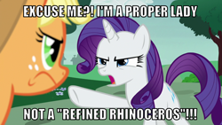 Size: 1066x600 | Tagged: safe, edit, edited screencap, editor:twi clown, imported from derpibooru, screencap, applejack, rarity, earth pony, pony, unicorn, honest apple, angry, caption, female, image macro, low effort caption, mare, pointing, text