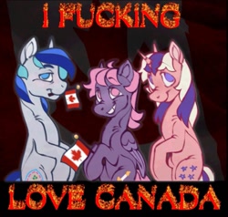 Size: 967x922 | Tagged: safe, artist:partyponypower, imported from derpibooru, denim blue, so soft twilight, twilight, earth pony, pegasus, pony, unicorn, canada, canadian flag, g1, g3, looking at you, mouth hold, vulgar