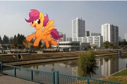Size: 720x475 | Tagged: safe, artist:yaco, edit, imported from ponybooru, scootaloo, pony, chongjin, city, irl, north korea, photo, ponies in real life, solo