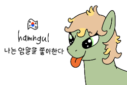 Size: 300x200 | Tagged: safe, artist:hach, oc, oc only, unnamed oc, earth pony, pony, asian pony, bust, engrish, female, flag, hangul, korean, mare, misspelling, simple background, smiling, solo, south korean flag, tongue out, white background