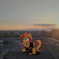 Size: 2160x2160 | Tagged: safe, imported from derpibooru, sunset shimmer, pony, unicorn, clothes, irl, jacket, photo, ponies in real life, solo