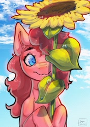 Size: 2894x4093 | Tagged: safe, artist:jaynsparkle, imported from derpibooru, pinkie pie, earth pony, pony, :3, bust, flower, solo, sunflower
