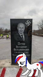 Size: 720x1280 | Tagged: safe, imported from ponybooru, oc, oc:marussia, pony, irl, nation ponies, photo, ponies in real life, ponified, russia, sad, solo, tomb, vladimir putin