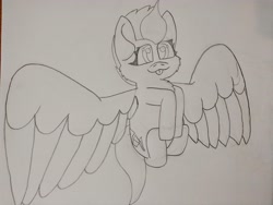 Size: 4192x3144 | Tagged: safe, artist:acid flask, imported from derpibooru, zipp storm, pegasus, 2d, :p, cheek fluff, chest fluff, cute, fetal position, fluffy, flying, g5, graphite drawing, happy, hooves, hooves together, large wings, looking at you, png, smiling, smiling at you, smol, tongue out, traditional art, wings
