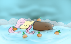 Size: 800x500 | Tagged: safe, artist:diurnalcritters, imported from derpibooru, fluttershy, pegasus, pony, capybara, eyes closed, female, floppy ears, food, hot springs, mare, orange, partially submerged, solo