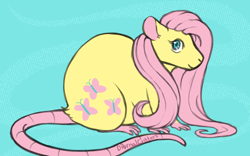 Size: 800x500 | Tagged: safe, artist:diurnalcritters, imported from derpibooru, fluttershy, rat, cute, female, flutterrat, looking at you, shyabetes, smiling, smiling at you, solo, species swap