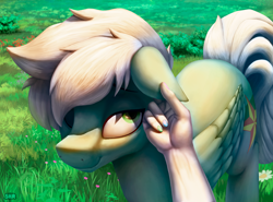 Size: 3918x2895 | Tagged: safe, artist:suhar, imported from derpibooru, princess celestia, oc, oc:summer breeze, human, pegasus, pony, ear rub, grass, grass field, hand, male, offscreen character, offscreen human, one eye closed, petting, smiling, stallion