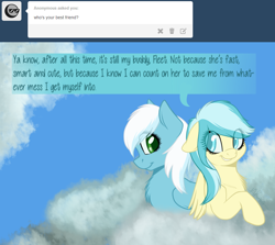 Size: 900x803 | Tagged: safe, artist:ask-mistypony, imported from derpibooru, fleetfoot, misty fly, pony, cloud