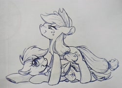 Size: 3029x2189 | Tagged: safe, artist:twiliset, imported from derpibooru, applejack, rainbow dash, earth pony, pegasus, pony, appledash, female, lesbian, lying down, pen drawing, shipping, shy, simple background, sketch, smiling, traditional art