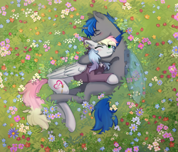 Size: 3376x2894 | Tagged: safe, artist:glumarkoj, imported from derpibooru, oc, oc only, oc:blazey sketch, oc:nightfall, changeling, pegasus, blushing, bow, changeling oc, clothes, couple, cuddling, detailed background, duo, flower, flower field, grass, green eyes, grey fur, hair bow, lying down, lying on the ground, multicolored hair, pegasus oc, smiling, sweater, wings