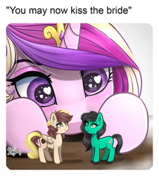 Size: 1024x1134 | Tagged: safe, artist:lailyren, imported from derpibooru, princess cadance, oc, alicorn, earth pony, pegasus, commission, female, mare, meme, now kiss, oc x oc, ponified animal photo, ponified meme, shipping, toy, ych result