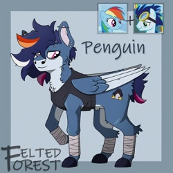 Size: 1746x1746 | Tagged: safe, artist:feltedforestart, imported from derpibooru, rainbow dash, soarin', oc, oc:penguin, pegasus, pony, best, blue background, butt fluff, ear piercing, earring, eyebrow piercing, female, goggles, goggles on head, hock fluff, jewelry, male, mare, neck fluff, nose piercing, offspring, parent:rainbow dash, parent:soarin', parents:soarindash, piercing, screencap reference, shipping, signature, simple background, soarindash, stallion, straight