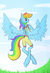 Size: 1503x2187 | Tagged: safe, artist:destiny_manticor, imported from derpibooru, rainbow dash, anthro, pegasus, pony, clothes, cloud, digital art, facing away, female, flying, grass, mare, rear view, redraw, sky, solo, spread wings, wings