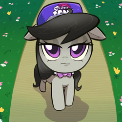 Size: 1200x1200 | Tagged: safe, artist:talimingi, imported from derpibooru, octavia melody, earth pony, pony, baseball cap, bowtie, cap, female, floppy ears, frown, hat, lidded eyes, looking at you, mare, octavia is not amused, ponified animal photo, shadow, solo, unamused