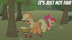 Size: 2000x1123 | Tagged: safe, edit, edited screencap, editor:quoterific, imported from derpibooru, screencap, apple bloom, applejack, call of the cutie, apple, apple tree, basket, food, tree