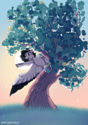Size: 2480x3508 | Tagged: safe, artist:jjsh, imported from derpibooru, oc, oc only, pegasus, pony, black hair, clinging, ear fluff, female, grass, gray eyes, high res, in a tree, leaves, looking forward, mare, nature, open mouth, pointing, raised hoof, sitting, sitting in a tree, sky, solo, spread wings, stars, sun, sunrise, tree, white fur, wings