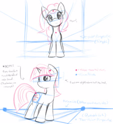 Size: 1960x2160 | Tagged: safe, artist:dshou, imported from derpibooru, pinkie pie, twilight sparkle, earth pony, pony, unicorn, 2012, female, front view, high res, mare, old art, perspective, solo, three quarter view, tutorial, unicorn twilight