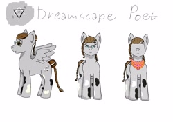 Size: 3508x2480 | Tagged: safe, artist:poet, imported from derpibooru, oc, oc only, oc:dreamscape poet, pegasus, pony, braid, braided tail, glasses, persona, reference sheet, simple background, solo, tail, white background