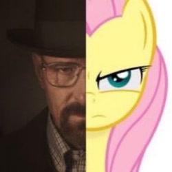 Size: 1098x1098 | Tagged: safe, edit, imported from derpibooru, fluttershy, human, pony, bad edit, frown, shitposting, walter white