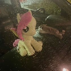 Size: 736x736 | Tagged: safe, imported from derpibooru, fluttershy, pony, car, irl, photo, plushie, rain, window