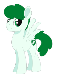 Size: 1119x1480 | Tagged: safe, artist:dyonys, imported from derpibooru, oc, oc only, oc:mintfeather, pegasus, pony, male, simple background, solo, stallion, transparent background