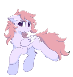 Size: 1131x1188 | Tagged: safe, imported from derpibooru, oc, pegasus, pony, solo