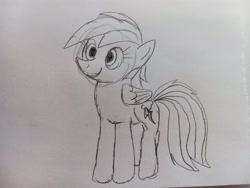 Size: 4160x3120 | Tagged: safe, artist:dhm, imported from derpibooru, rainbow dash, pegasus, pony, monochrome, sketch, solo, traditional art