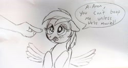 Size: 3845x2056 | Tagged: safe, artist:dhm, imported from derpibooru, rainbow dash, oc, oc:anon, pony, blushing, boop, monochrome, sketch, speech bubble, spread wings, traditional art, wingboner, wings