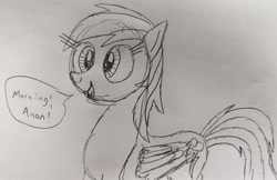 Size: 3403x2207 | Tagged: safe, artist:dhm, imported from derpibooru, rainbow dash, pony, greeting, monochrome, sketch, solo, speech bubble, traditional art