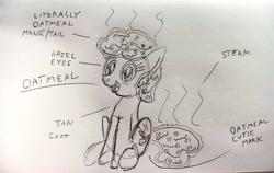 Size: 4160x2631 | Tagged: safe, artist:dhm, imported from derpibooru, oc, oc:oatmeal, pony, drawthread, monochrome, reference sheet, sketch, solo, traditional art