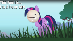 Size: 1920x1080 | Tagged: safe, artist:iamaveryrealperson, artist:tridashie, edit, imported from derpibooru, twilight sparkle, alicorn, pony, pony girl, 2021, female, field, grass, grass field, mare, mask, mcyt, meme, sky, smiling, solo, standing, text, thumbnail, tree, twilight sparkle (alicorn), wings