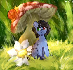 Size: 2244x2160 | Tagged: safe, artist:juiss, imported from derpibooru, oc, oc only, oc:glorious shark, pony, snail, flower, micro, mushroom, rain, sitting, solo