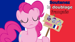 Size: 1920x1080 | Tagged: safe, imported from derpibooru, pinkie pie, earth pony, pony, female, flag, france, french, my little pony logo, sign, solo, solo female, support