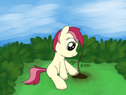 Size: 2000x1500 | Tagged: safe, artist:craftycirclepony, imported from derpibooru, roseluck, pony, bush, dirt, female, filly, foal, gardening, outdoors, sapling, sitting, sky, solo, younger