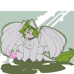 Size: 1080x1080 | Tagged: safe, artist:lery rada, imported from twibooru, oc, oc only, unnamed oc, pegasus, pony, undead, zombie, zombie pony, blood, blushing, chest fluff, image, leonine tail, male, needs more jpeg, nosebleed, raised eyebrow, shock collar, sitting, solo, spread wings, stallion, wings