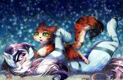 Size: 3471x2264 | Tagged: safe, artist:krissstudios, imported from derpibooru, oc, oc only, oc:meowmix, oc:purapoint, cat, earth pony, pony, cat oc, cute, detailed background, earth pony oc, hug, male, stallion