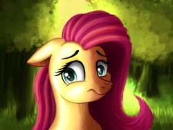 Size: 4000x3000 | Tagged: safe, artist:blankedsoul, imported from derpibooru, fluttershy, pegasus, cute, female, forest background, shyabetes, solo