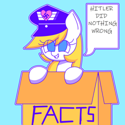 Size: 2048x2048 | Tagged: safe, artist:aryannerapesmewithherfutacockeverynight, edit, oc, oc only, oc:aryanne, box, dialogue, female, hitler did nothing wrong, mare, nazi, smiling, solo, swastika